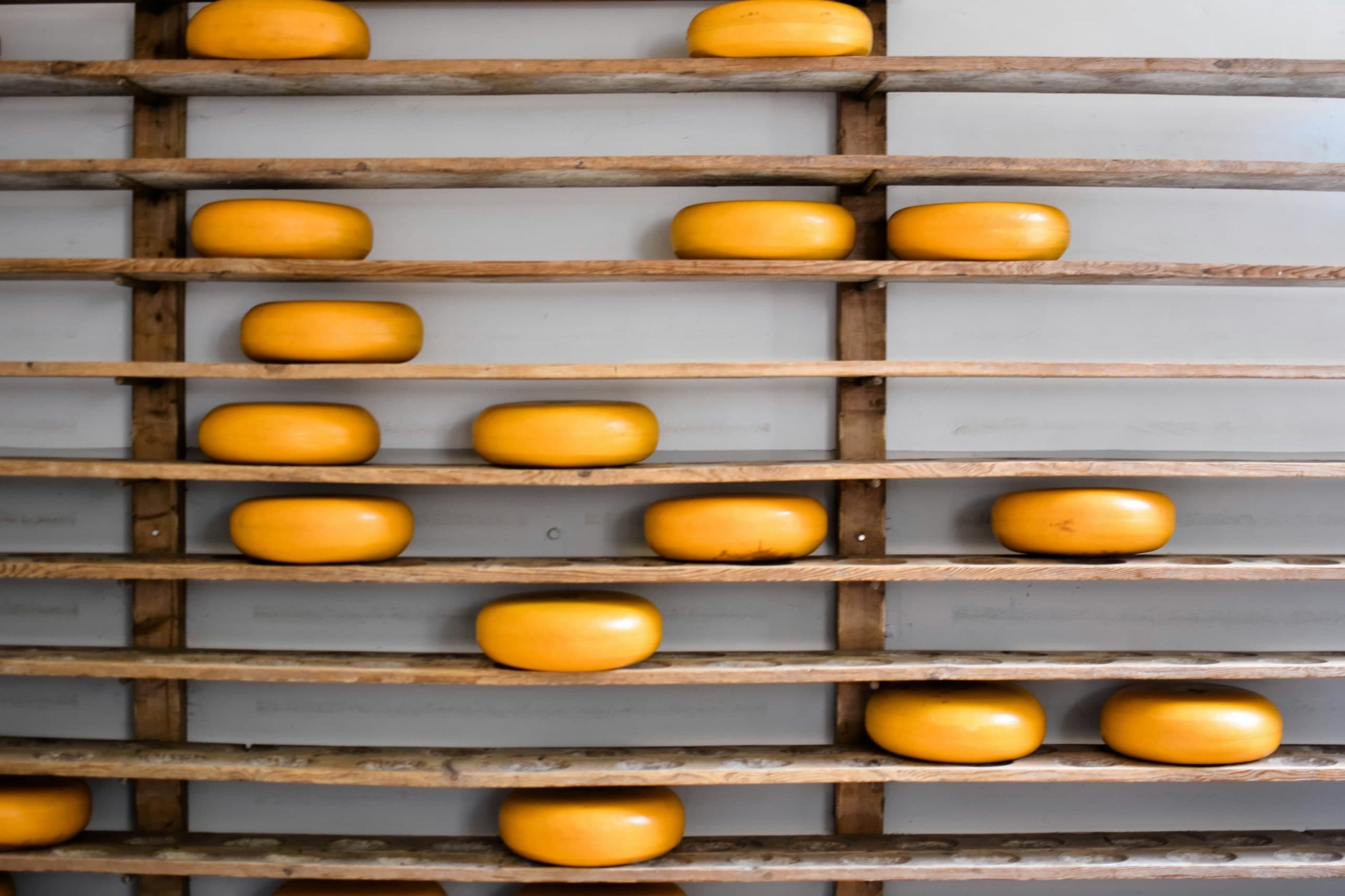 Artisan cheese making process